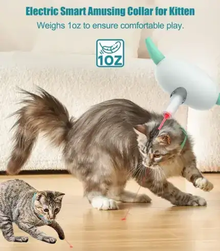 Electric Smart Amusing Collar for Cat