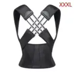 Flexible Back Support Belt for Office, Home, and Gym