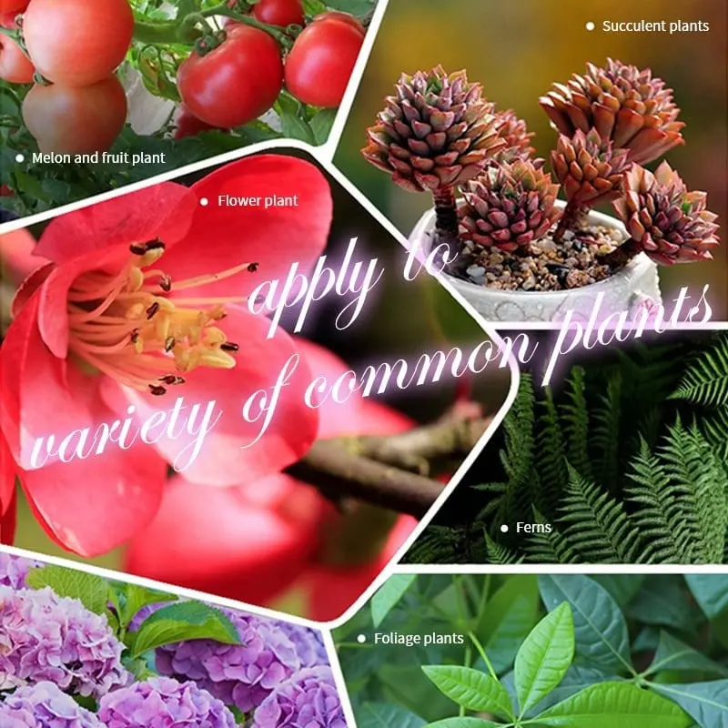 1708919697563.jpg Home Gardening Universal Slow
