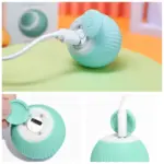 Smart Cat Interactive Ball Toys U01