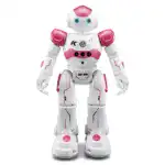 Gesture Sensing Smart Robot