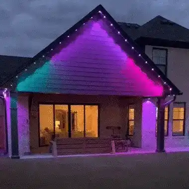 Festive Lights